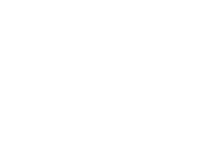 CZ Logo